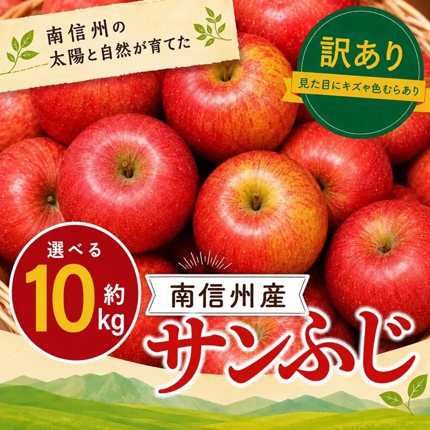 訳あり品 長野県産 サンふじ 約10kg ＜2027年1月上旬～2月上旬発送＞ | 長野県 飯田市