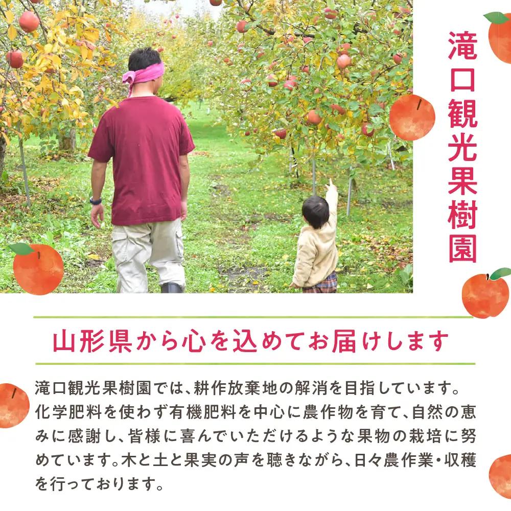 果肉たっぷり 果樹園の手作り ジャム セット 7個入 ジャム