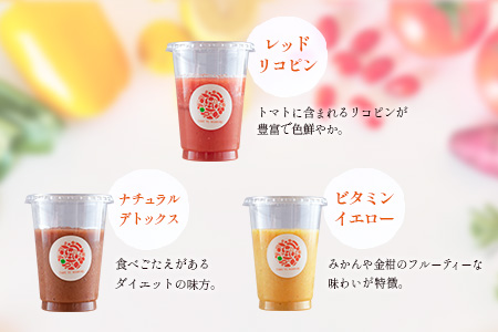 「定期便6か月コース」南国酵素スムージー　200ml×12本セット×6回　 野菜・果実ミックスジュース　青パパイア　果物　フルーツ　飲料　健康　栄養【F109】