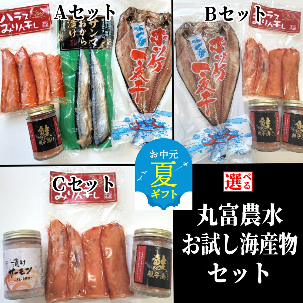 【ふるさと納税】丸富農水 お試し 海産物 セット | お中元 御中元 夏ギフト ギフト 贈り物 贈答 選べる セット ほっけ ホッケ 一夜干し 干物 サーモン 鮭 サンマ 親子漬け いくら イクラ 漬けサーモン スモーク風味 グルメ プレゼント ギフト