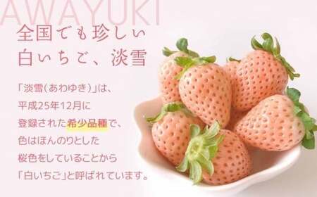 白いちご 淡雪 約500g | 西谷農園