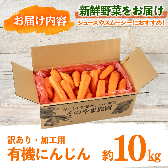 y161 ≪訳あり・数量限定≫湧水町産有機にんじん(10kg) 国産 九州産 鹿児島産 有機野菜 有機栽培 にんじん 人参 ニンジン キャロットジュース 野菜 やさい おかず 旬 わけあり 訳アリ 不