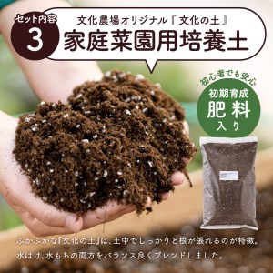 はじめての家庭菜園キット「サラダガーデン」（プランター色：ネイビー）011BK03N.／レタス 苗 サラダ野菜 苗 プランター ガーデニング 野菜 栽培 ベランダ菜園 野菜苗 培土 園芸