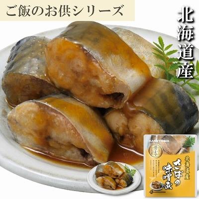 ふるさと納税 根室市 さばの味噌煮10P G-09015