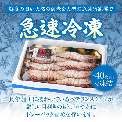 ふるさと納税 西尾市 大型天然有頭えび8尾・K301 |  | 03