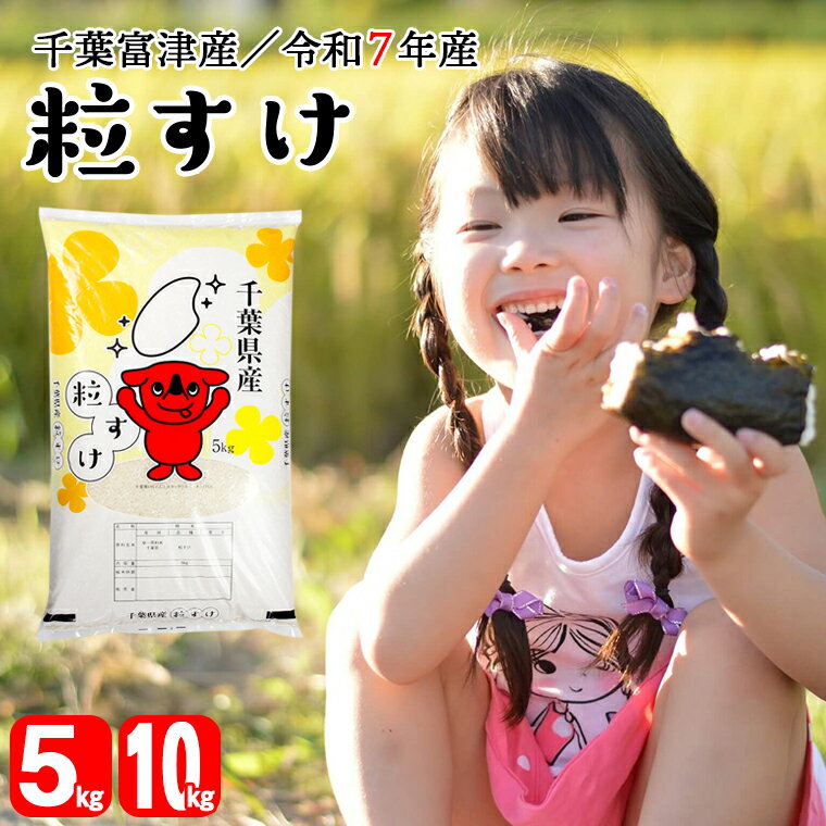 【ふるさと納税】米 精米 おすすめ 令和7年産 粒すけ 5kg 10kg 1袋5kg 千葉富津産 大粒 精米したその日に発送 白米 ごはん 米 ライス おにぎり 太巻き寿司 米店 かじや 数量限定 2025年産 房総
