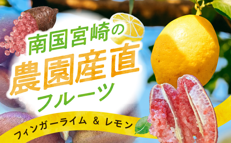 《2026年9月～2027年2月発送先行予約》【数量・期間限定】南国宮崎の農園産直セット レモン4.5kg・フィンガーライム100g 果実 柑橘 果物