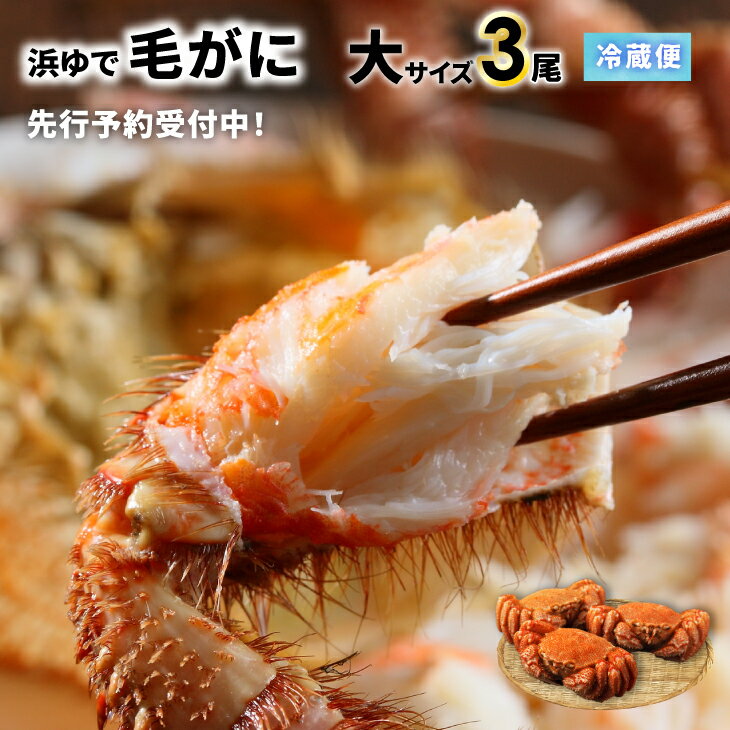 【ふるさと納税】【先行受付開始！】漁協の浜ゆで毛がに 大サイズ3尾※日付指定対応不可※[02-1416]※離島・沖縄県不可※ 北海道 浦河 ふるさと納税 北海道産 北海道日高産 毛蟹 毛がに 天然 浜ゆで 大サイズ 2尾 送料無料
