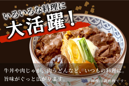 【4月お届け】飛騨牛 切り落とし 600g 牛肉 和牛 肉 切落し ブランド牛 国産 10000円