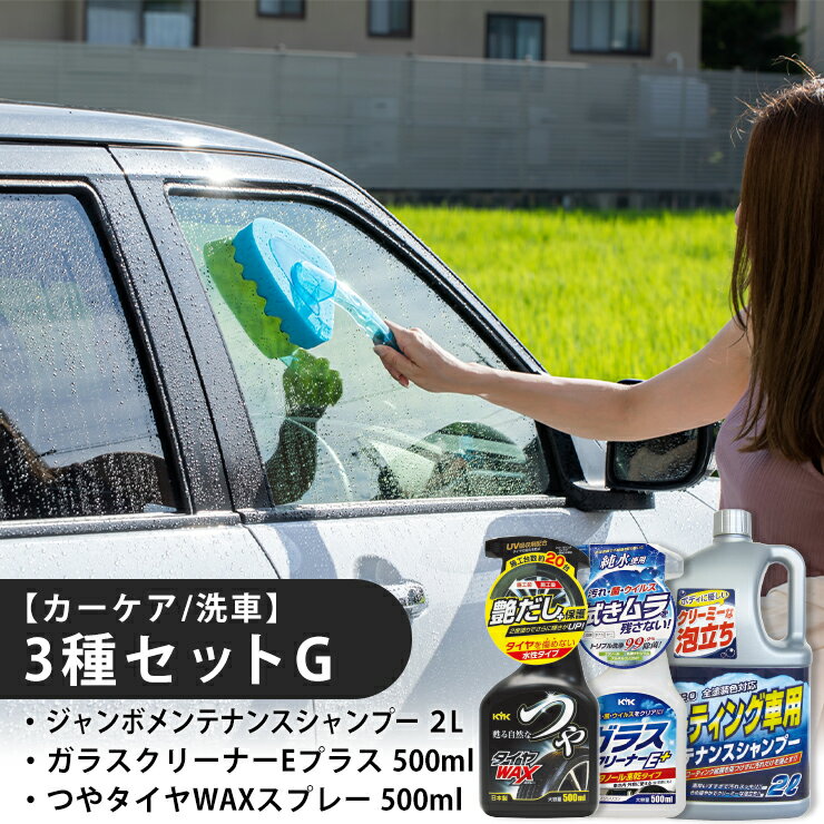【ふるさと納税】【カーケア／洗車】3種セットG　【掃除】車【洗車】 自動車 水垢 大容量 【カーケア】【大掃除】掃除 グッズ 日用品 洗車用品 洗剤 車用洗剤 汚れ落とし 本体 大 生活用品 液体洗剤 家族 家庭 消耗品 まとめ買い 詰め合わせ セット