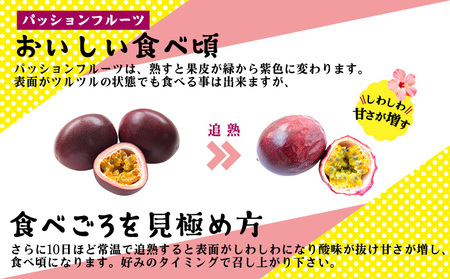 2026年発送【先行予約】家庭用パッションフルーツ 1kg以上【ウォーカー農園】 パッション フルーツ くだもの 果実 果物 国産 沖縄 名護 スイーツ デザート 産地直送 お取り寄せ 旬の果物 南国