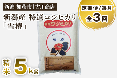 【令和7年産】【定期便3回毎月お届け】新潟県産 特選コシヒカリ「雪椿」精米5kg 白米 加茂市