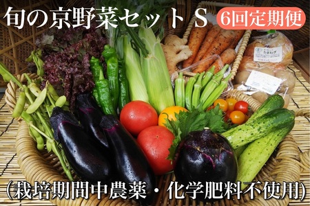 【6回定期便】＜アスカ有機農園＞旬の京野菜セットS定期便＊毎月お届け全6回定期便 ≪野菜定期便 ふるさと納税野菜定期便 野菜詰め合わせ 野菜セット 野菜定期便 厳選野菜 旬野菜定期便 京都府亀岡市産野菜 京都府野菜 京都産野菜 亀岡市野菜 亀岡産野菜 京丹波野菜 京野菜定期便 京都野菜 亀岡野菜 野菜定期便 ふるさと納税野菜定期便 野菜詰め合わせ 野菜セット 野菜定期便 厳選野菜 旬野菜定期便 京都府亀岡市産野菜 京都府野菜 京都産野菜 亀岡市野菜 亀岡産野菜 京丹波野菜 京野菜定期便 京都野菜 亀岡野菜 