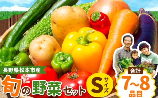 子育て農家の野菜セット（Sサイズ）農薬・化学肥料不使用 | 無農薬 野菜 やさい 長野県 松本市 信州産 ふるさと納税