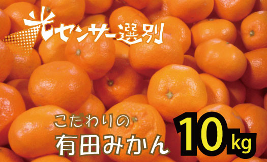 
            ＼光センサー選別／ 農家直送 こだわりの 完熟 有田みかん 約10kg＋250g(傷み補償分) 【ご家庭用】【11月･12月･1月から選択可能】（日付指定不可） 有機質肥料100% 有田みかん みかん ミカン 蜜柑 柑橘 果物 くだもの フルーツ 甘い 温州みかん 先行予約【nuk101D_cho】
          