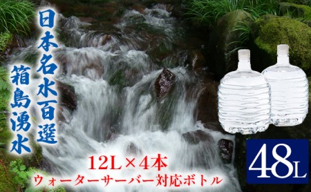 箱島湧水群馬の名水天然水箱島湧水【12L×4本(2本×2回)】