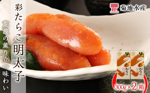 
                  ★余市で製造・加工まで監修★明太子 300g×2箱セット＜菊地水産＞
                