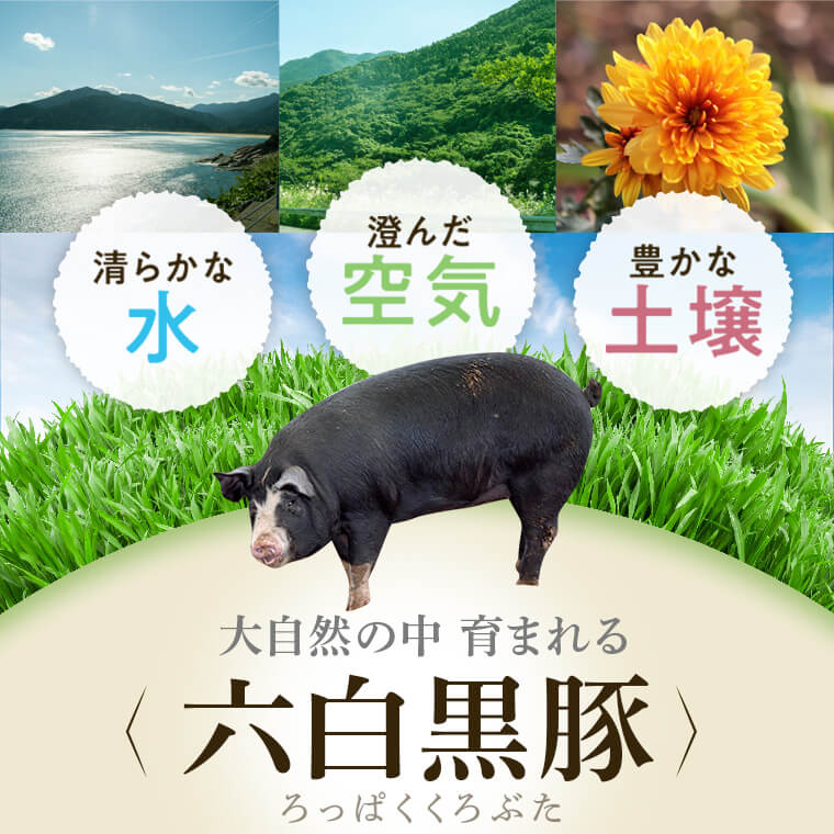【B02096】 特選黒豚(約1.6kg)・黒豚焼豚2個・黒豚餃子(12個入×1P)セット！黒豚バラ・肩ロース(しゃぶしゃぶ用)、黒豚ロース(トンカツ用)のセット_イメージ3