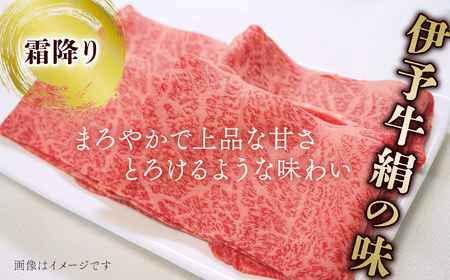 【霜降りと赤身】伊予牛絹の味_しゃぶしゃぶ用1㎏（ロース500g、もも500g）(冷凍)｜黒毛和牛 A4～A5