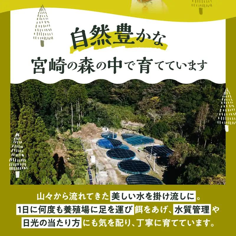 宮崎 -森のチョウザメ-sustainable PET FOOD ペットフード ウェットフード ペット用おやつ