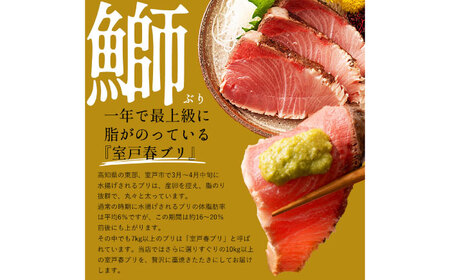 高知県産 鰹と天然ブリ 藁焼きたたき  食べ比べセット 約1.2ｋg（各約600g）