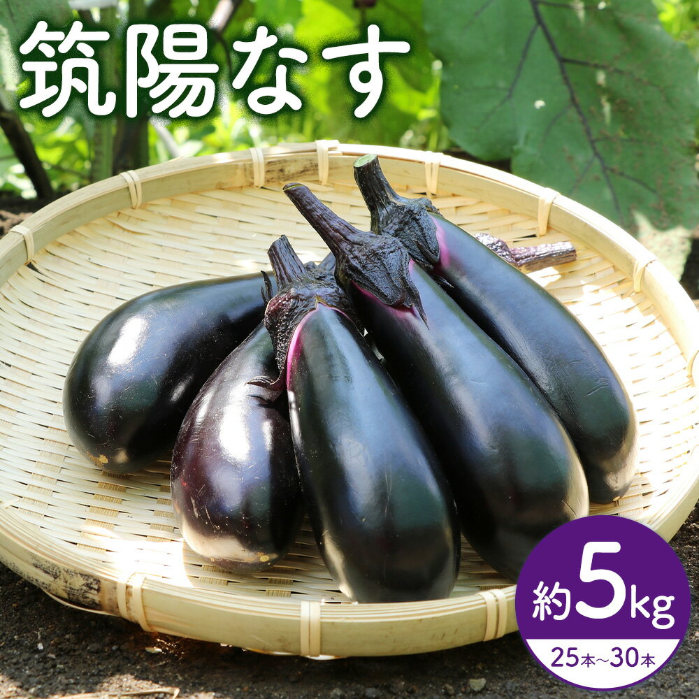 【ふるさと納税】筑陽なす 約5kg 25-30本 さつま園芸組合《7月上旬-9月末頃出荷》鹿児島県 さつま町 茄子 なす ナス なすび 野菜