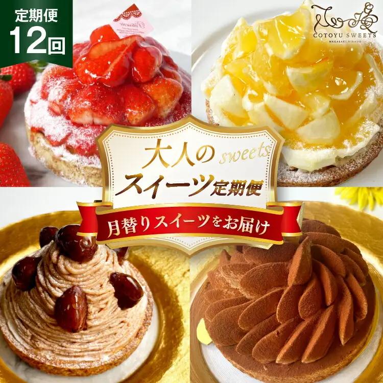 ケーキ タルト 1ホール 12cm 12種 食べ比べ 各回1ホール 12回 定期便 総計12ホール