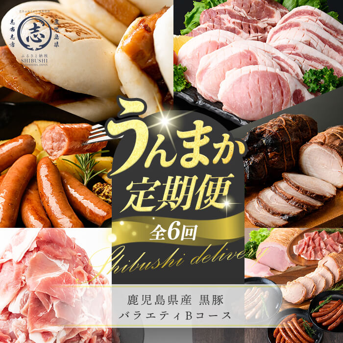 【ふるさと納税】【定期便全6回】鹿児島県産 黒豚バラエティBコース！志布志うんまか定期便 豚肉 黒豚 切り落とし ウィンナー ソーセージ トンカツ トンテキ 肉まん 中華まん ハム 焼豚 国産 セット【サンキョーミート】【ナンチク】【萬來】【鹿児島ますや】t0105-006