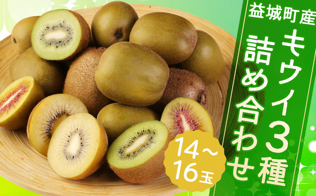 
            益城町産 特選 キウイ 3種 詰め合わせ 約1.8kg 14～16玉 （各種4玉～6玉） 【2025年11月下旬～2026年1月下旬順次発送予定】
          