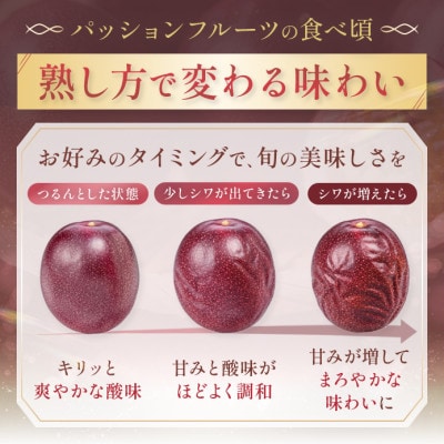 【先行予約/2027年7月～8月発送】秀品パッションフルーツ 「80g前後の大玉」【配送不可地域：離島】