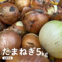 【ふるさと納税】 訳あり たまねぎ 5kg 淡路島 フードロス SDGs 【 不揃い サイズ 混合 ミックス S M L 2L 玉ねぎ タマネギ オニオン スライス サラダ ハンバーグ 肉じゃが 焼肉 常備菜 BBQ スープ 味噌汁 産地直送 兵庫県 淡路市 送料無料 】