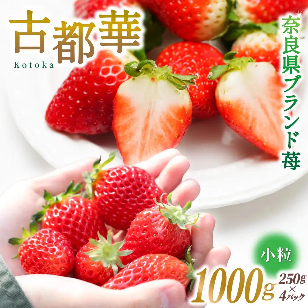 ブランド苺 新鮮 古都華 (小粒) 約1000g [250g×4パック] 【2027年1月上旬～5月下旬に順次発送】／ スマイル葛城農業 ブランド いちご 苺 ことか イチゴ スイーツ フルーツ 甘い 果物 奈良県 葛城市【smlk007】