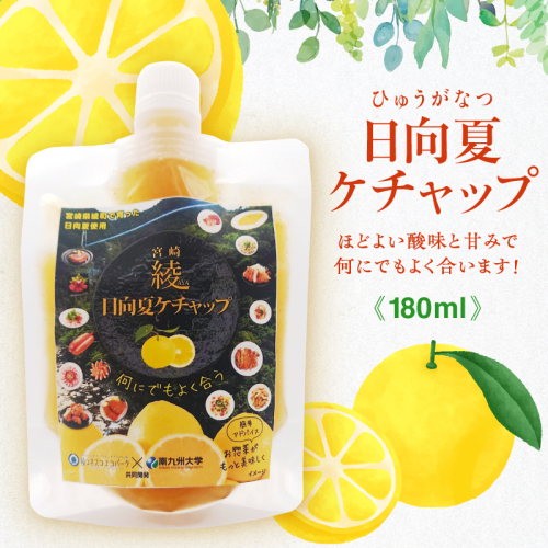 〈選べる！個数〉日向夏みかんの黄色いケチャップ 1個 2個