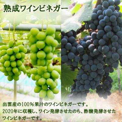 ふるさと納税 出雲市 ワインビネガー 2020年 紅白100ml2本セット |  | 01