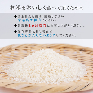 【令和7年産】 新米 年内配送 粒すけ 5kg 【新米】