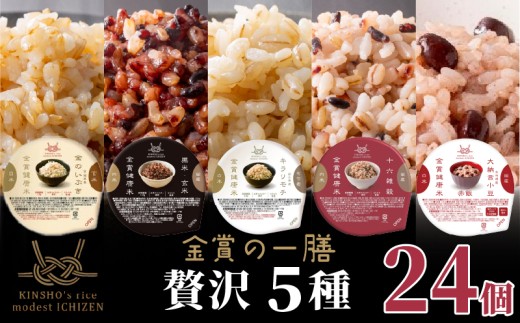 ご飯パック 金賞 健康米 食べ比べ 贅沢 5種セット 黒米 金のいぶき キラリモチ 十六雑穀 赤飯 120g×24個入り 国産 レンチン もち麦 軽食 夜食 簡単 白米 麦 食物繊維 ビタミン 御飯 ごはん パック ご飯 パックライス