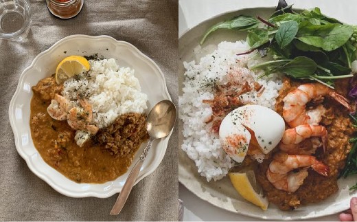 エビココナッツカレー スパイス キット 4人分×2個 （147g×2個） 合計8人分セット （合計294g） ／ レシピ付き カレー エビ ココナッツ 手作り 簡単調理 北海道 北広島市 常温