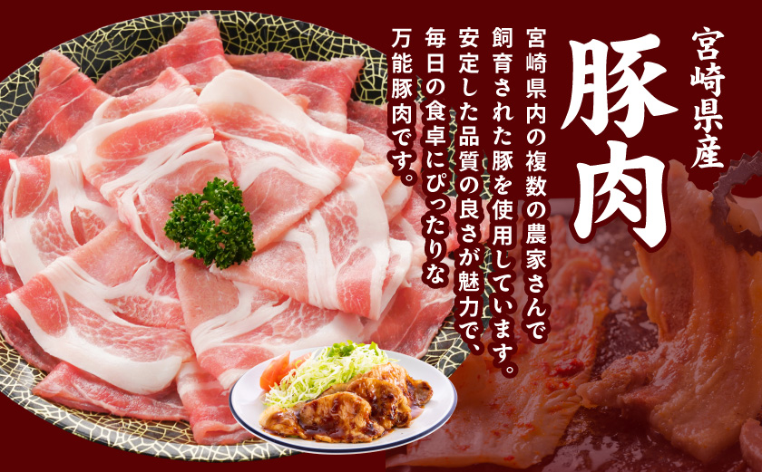 宮崎県産豚わくわく1.5kgセット(真空)≪みやこんじょ快速便≫_11-84-002-1500g-R