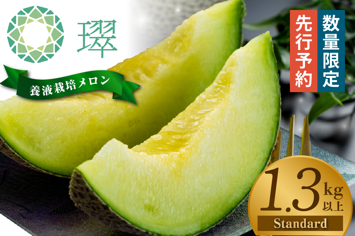 【先行予約】養液栽培メロン「璻」1玉【Standard】（重さ1.3㎏以上）｜メロン めろん フルーツ 常滑市