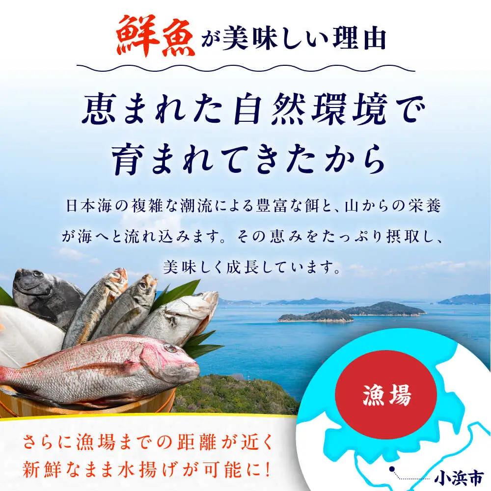 【定期便】全4回(3ヶ月毎発送)【加福鮮魚】「若狭小浜港産地直送」旬の天然鮮魚お任せセット！地魚 下処理済み 刺身 煮魚 焼き魚  小浜市 / 加福鮮魚 【配送不可地域：北海道、北東北（秋田、青森、岩