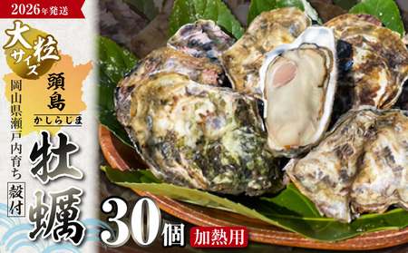【2026年発送！】日生頭島殻付牡蠣「海の恵」大粒30個【生鮮 牡蠣 日生産 ひなせ カキ かき 海のミルク 加熱用】