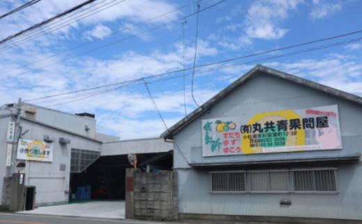 徳島産　ゆこう生酢（天然果汁100％）1800ml（一升瓶）1本