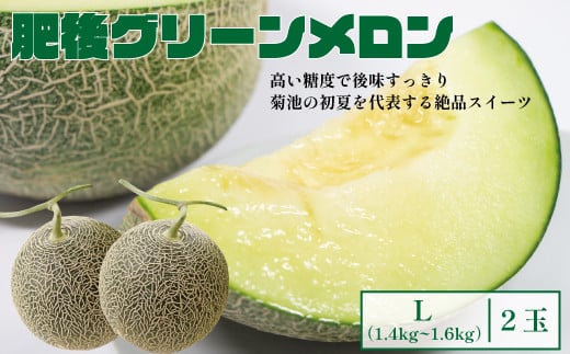 肥後グリーンメロン (中) Lサイズ 2玉【2025年5月上旬～6月下旬発送予定】