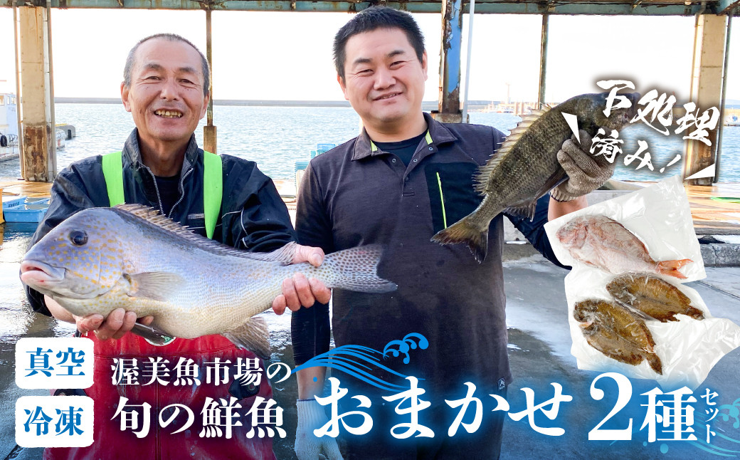
            渥美魚市場の旬の鮮魚　おまかせ2種セット 下処理済み 魚セット 愛知県 田原市 
          