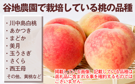 フルーツ大国！ 岩手県産 桃 約 2kg ／ もも モモ 果物 くだもの フルーツ 旬 ２kg 2キロ ２キロ 【谷地農園】