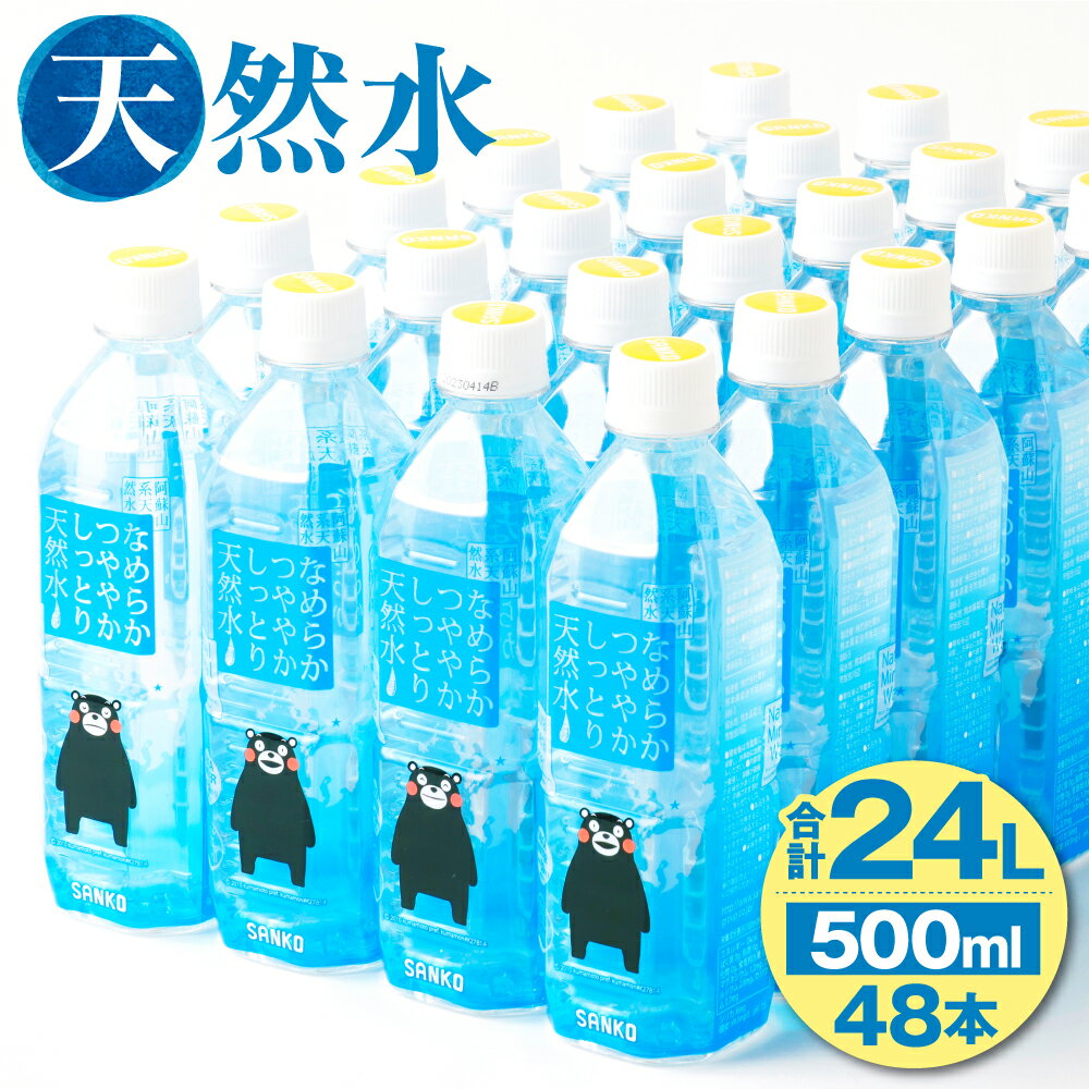 【ふるさと納税】なめらかつややかしっとり天然水 500ml 合計48本 24本×2ケース《30日以内に出荷予定(土日祝除く)》天然水 軟水 鉱水 シリカ水 飲料水 ミネラルウォーター ドリンク ペットボトル 熊本県 菊池市 送料無料