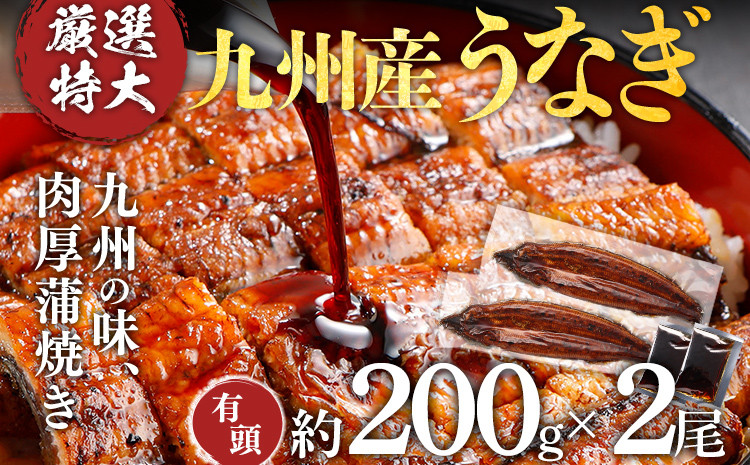 
九州産うなぎ2尾 国産 厳選特大 有頭 200g 2尾 蒲焼き 肉厚 ジューシー ふっくら 別添えタレ付き 九州 グルメ お取り寄せ
