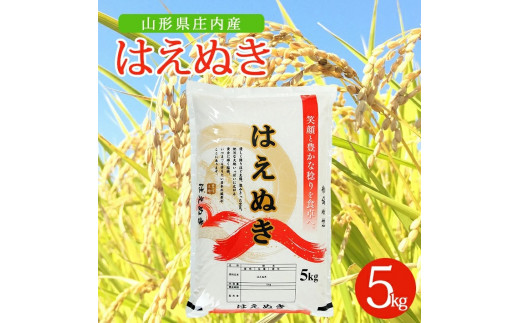 はえぬき 5kg×1袋 令和7年産米 精米 山形県庄内産 東北 山形県 酒田市 庄内地方 米 白米 お米 ごはん ご飯 庄内米 AK 秋田屋商店　SA2944