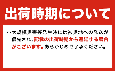 非常用トイレ 500回分 ＋予備100回分