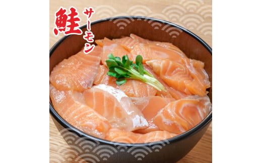 土佐の海鮮丼食べくらべセット（ブリ・タイ・サーモン・マグロ）各4袋セット 1パック60g 漬け丼 海鮮丼 鮪 まぐろ 鰤 ぶり 鯛 おかず おつまみ  魚介類 海鮮 